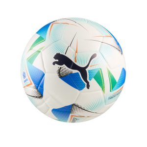 BALONES UNISEX PUMA CUMBRE CONMEBOL LIBERTADO
