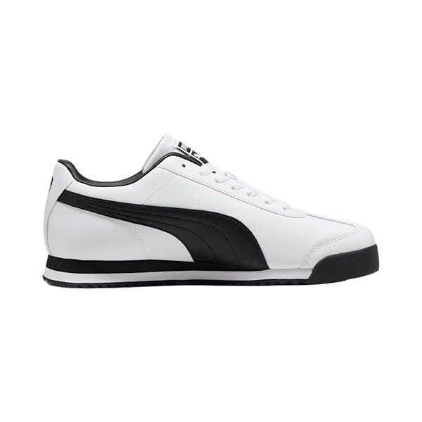 HOMBRE ROMA 24 STANDARD