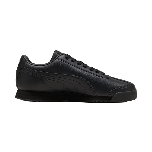 HOMBRE ROMA 24 STANDARD