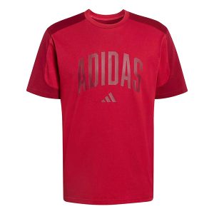 CAMISETA MANGA CORTA HOMBRE M COLLEGIATE TE