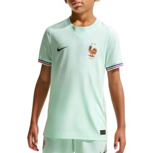 CAMISETA MANGA CORTA JR FFF Y NK DF JSY SS STAD AW