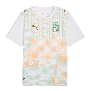 CAMISETA MANGA CORTA HOMBRE IVORY COAST AWAY JERSEY REPLIC