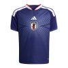JAPANBLUE/ASH BLUE