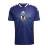 JAPANBLUE/ASH BLUE