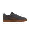 DUSKY GRAY-FLAT BRONZE-GUM